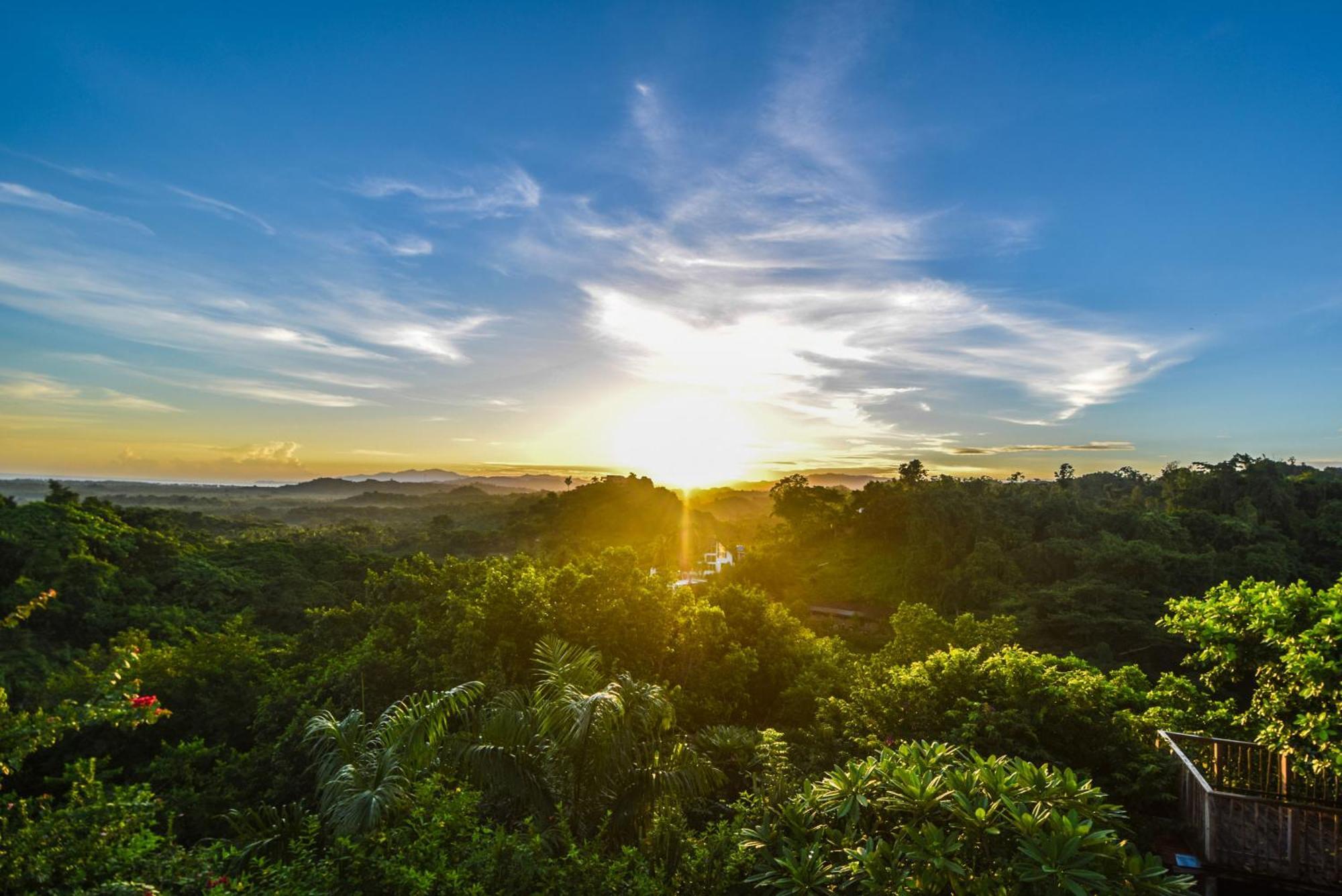 Clave Verde Ecolodge لاس تاريناس المظهر الخارجي الصورة