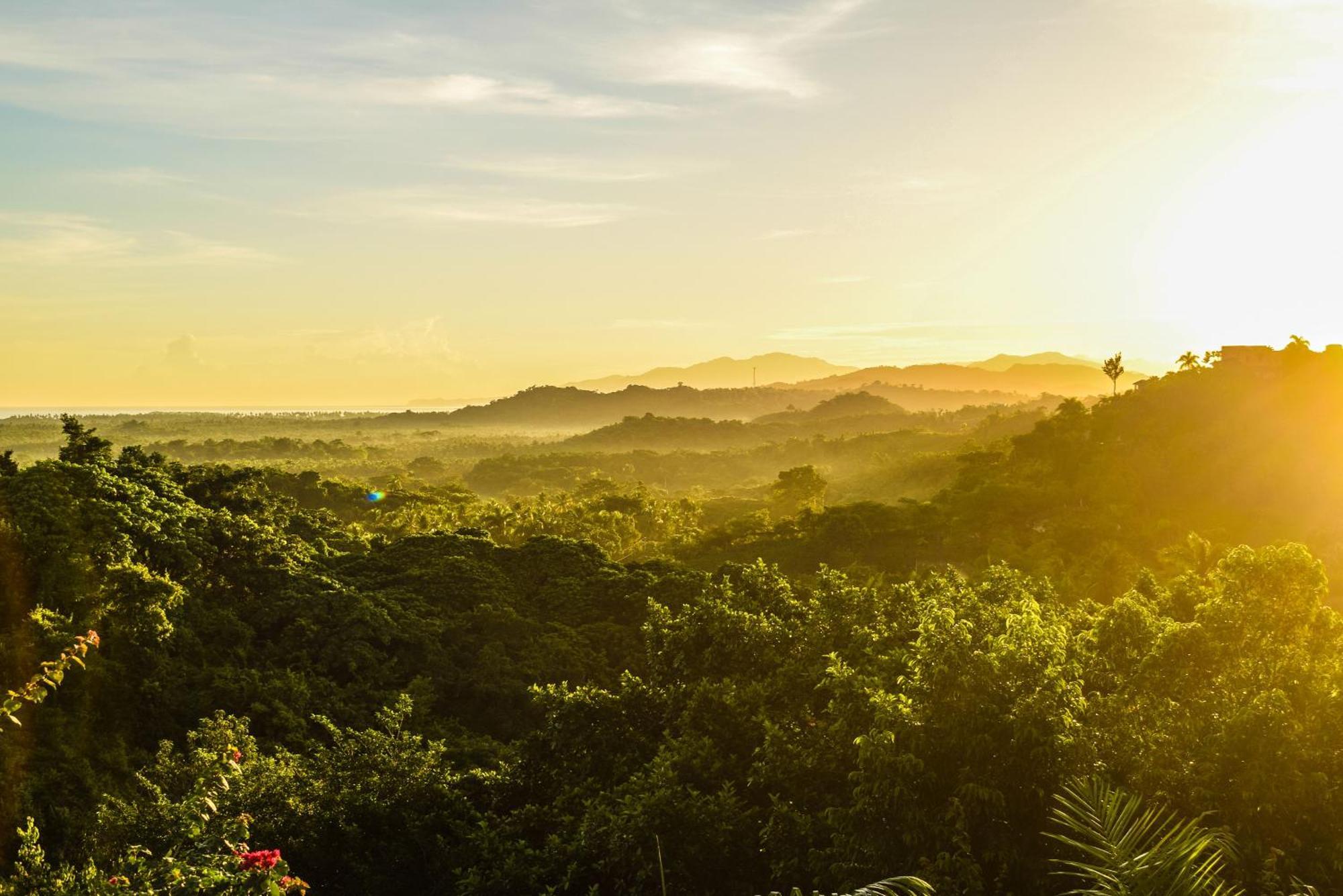 Clave Verde Ecolodge لاس تاريناس المظهر الخارجي الصورة