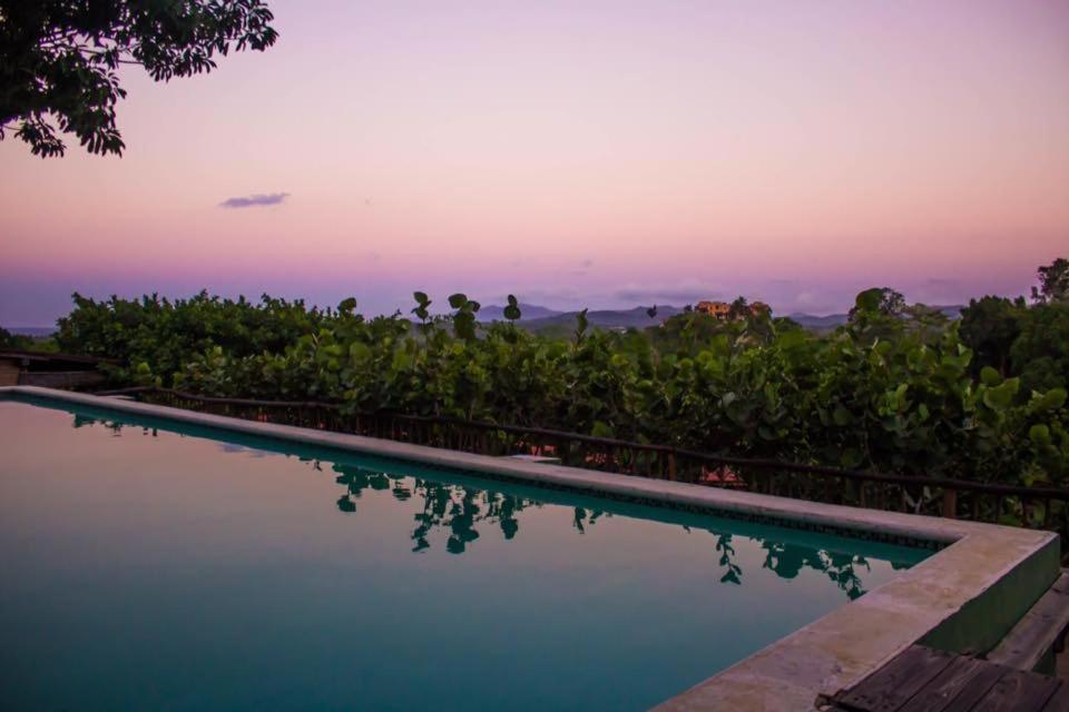 Clave Verde Ecolodge لاس تاريناس المظهر الخارجي الصورة