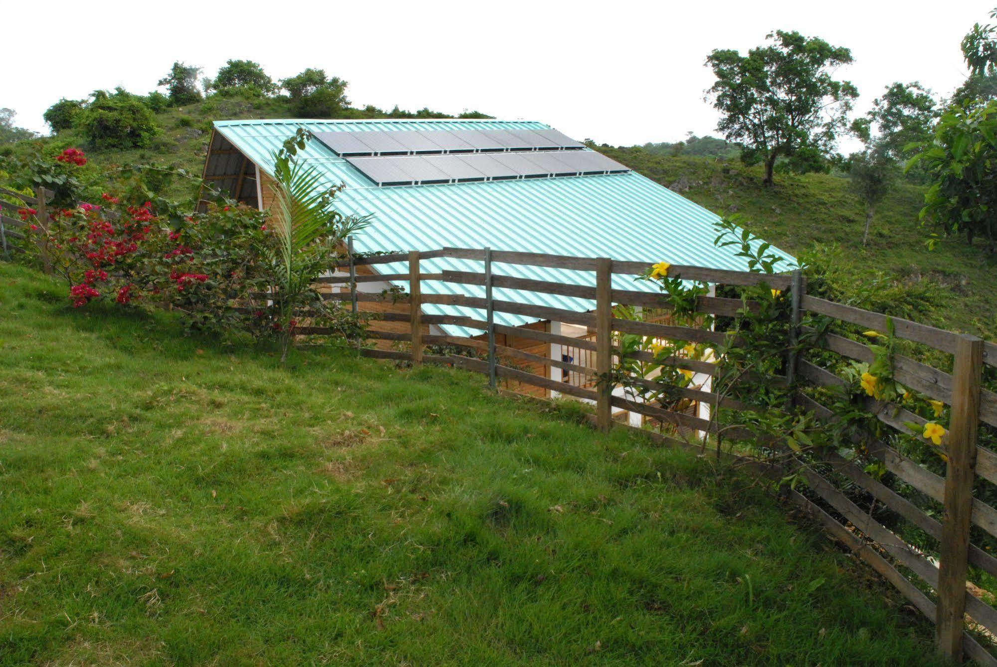 Clave Verde Ecolodge لاس تاريناس المظهر الخارجي الصورة