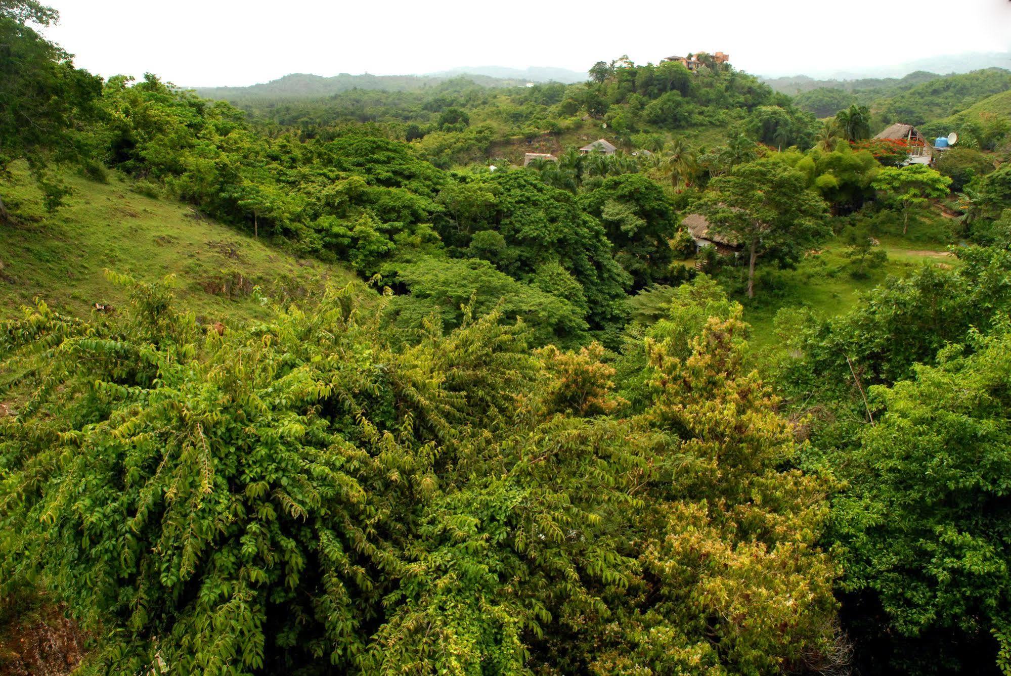 Clave Verde Ecolodge لاس تاريناس المظهر الخارجي الصورة
