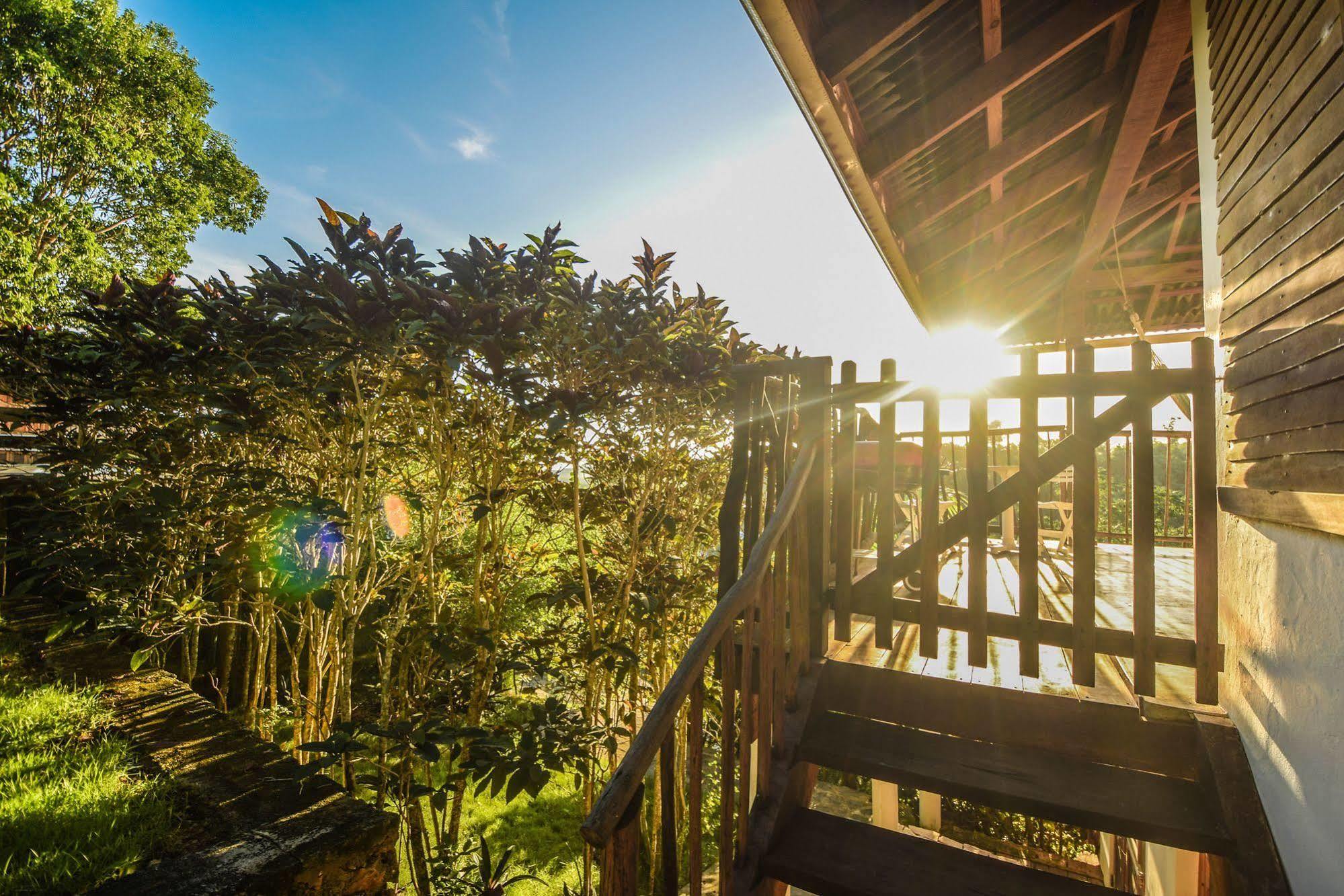 Clave Verde Ecolodge لاس تاريناس المظهر الخارجي الصورة
