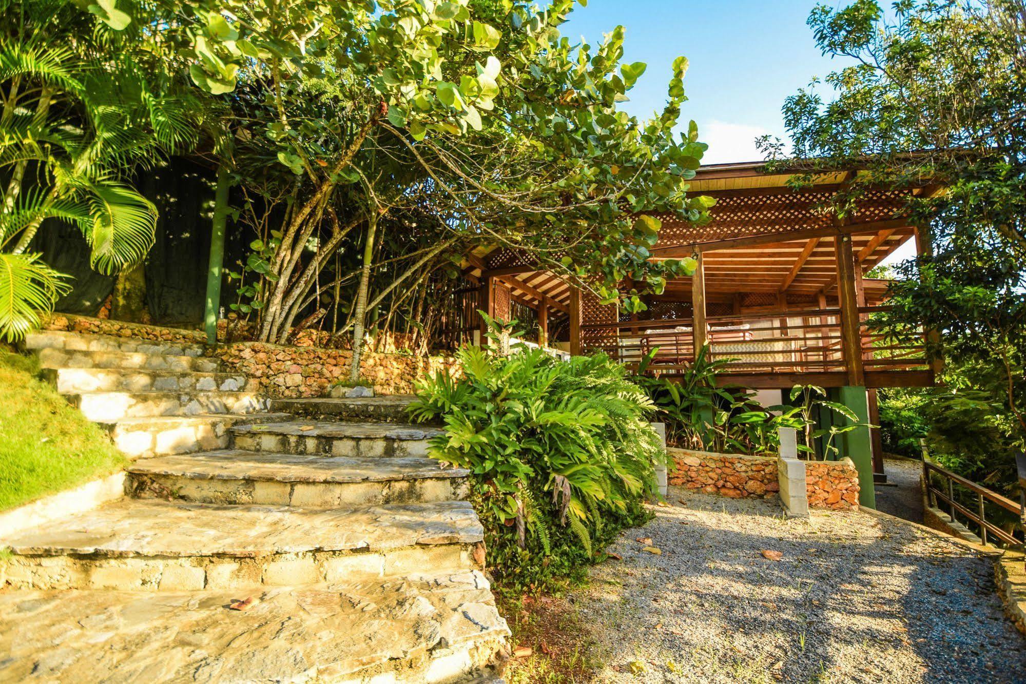Clave Verde Ecolodge لاس تاريناس المظهر الخارجي الصورة