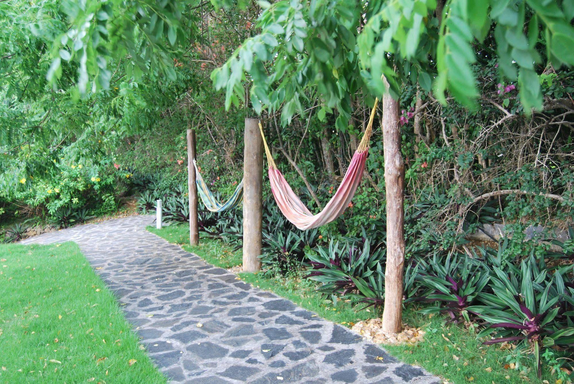 Clave Verde Ecolodge لاس تاريناس المظهر الخارجي الصورة