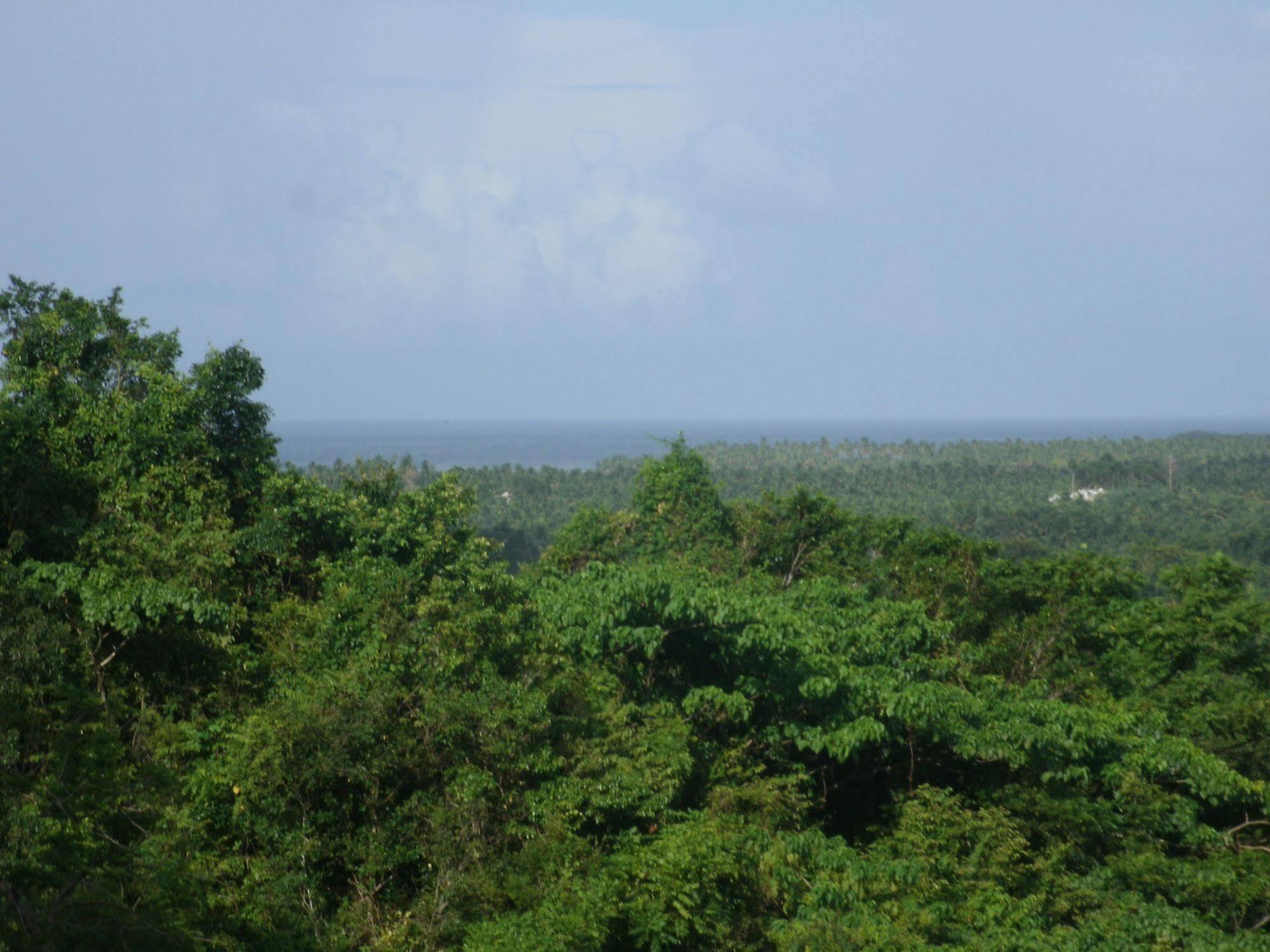 Clave Verde Ecolodge لاس تاريناس المظهر الخارجي الصورة